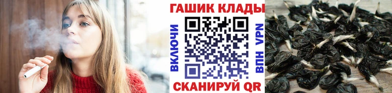 ГАШ Premium Талдом