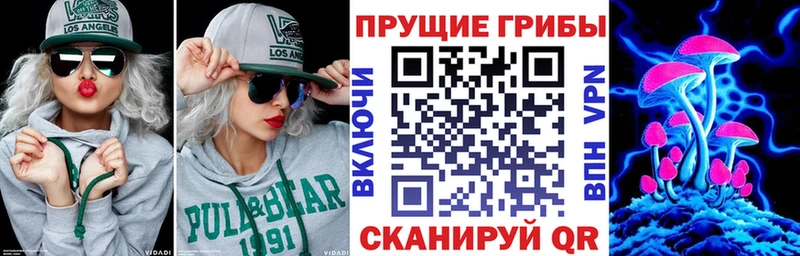 купить закладку  OMG   Псилоцибиновые грибы GOLDEN TEACHER  Талдом 